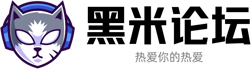 黑米辅助游戏论坛丨热爱你的热爱